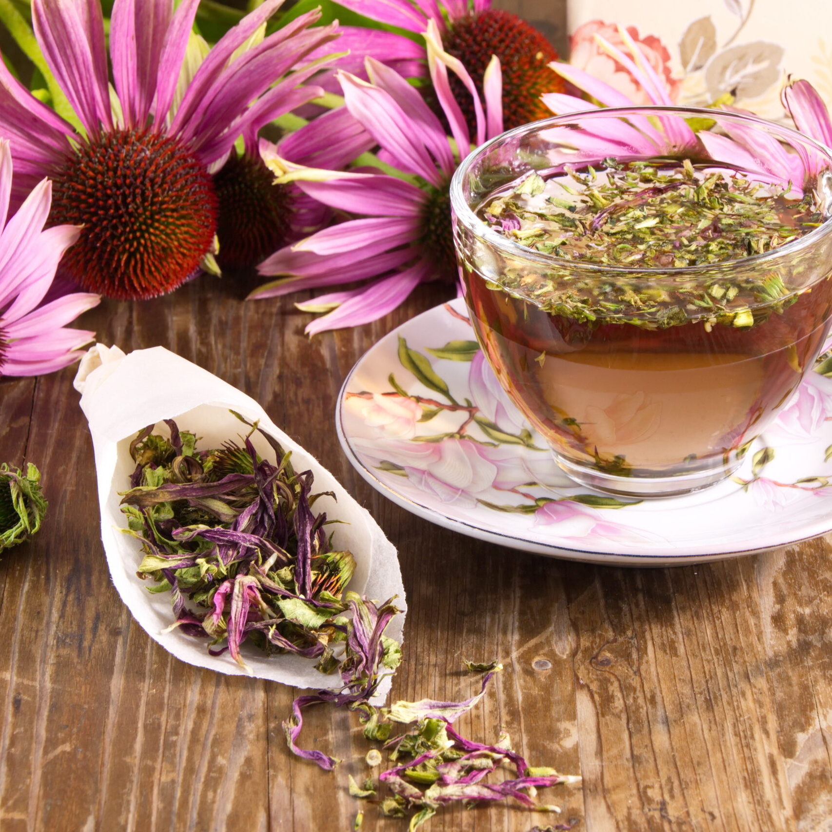 Tea drink with Echinacea purpurea Herbal Medicine Nottingham