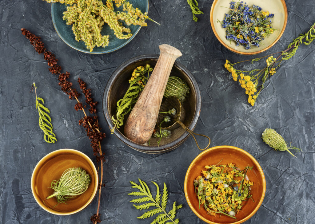 Herbal medicine with Martin at Riverside Natural Health Centre